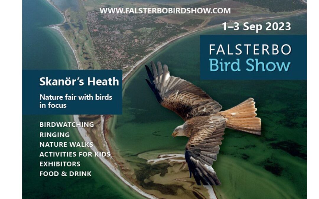 For those visitng the EOU conference in Lund: Falsterbo Birdshow